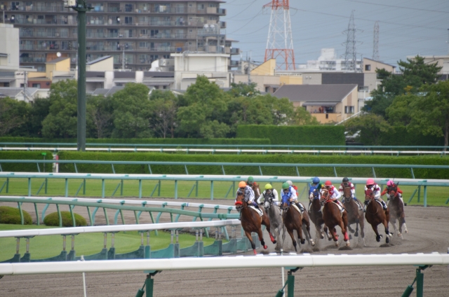 競馬の払戻金の確定申告